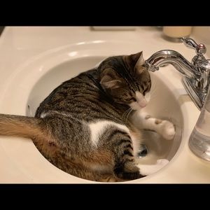 Meet your Posher, Venkat